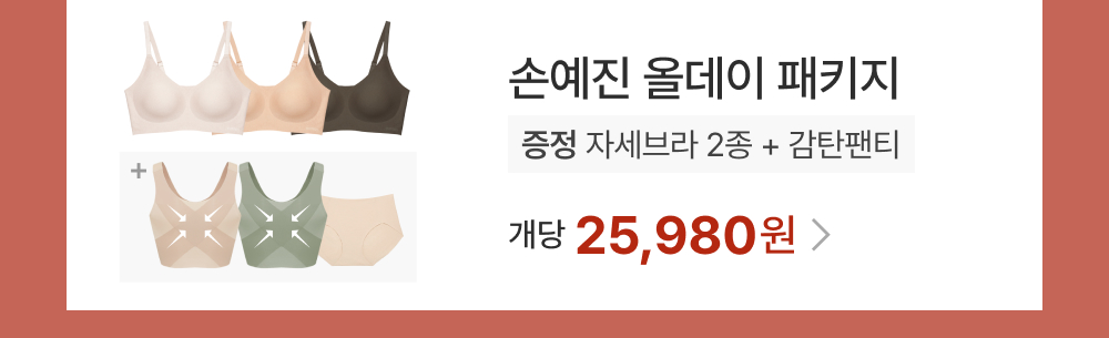 손예진 올데이 패키지