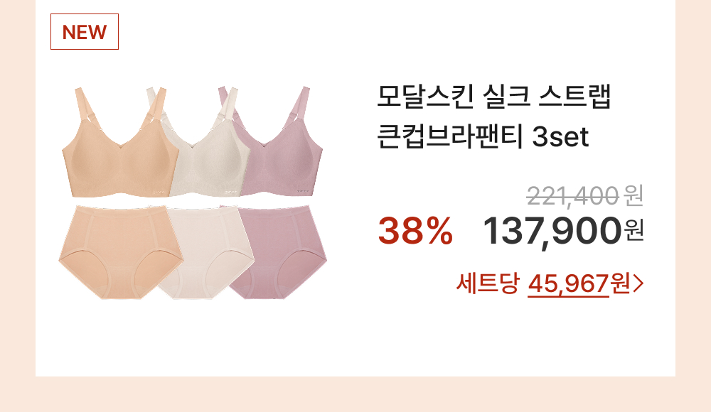 모달스킨 실크 스트랩 큰컵브라팬티 3set